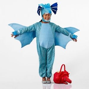 Pottery Barn Blue Dragon Costume